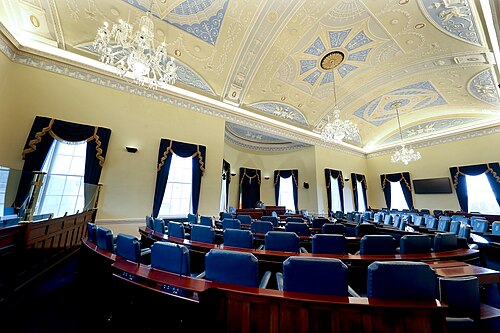 Irish Senate